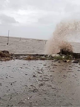 Cảnh báo gió tây nam khiến nước biển dâng cao tàn phá đê biển Tây Nam bộ