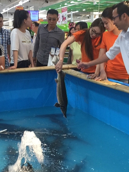 Lần đầu tiên tổ chức tuần lễ cá đặc sản sông Đà ở Hà Nội