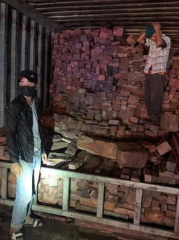Phá vụ vận chuyển gỗ lậu, đá quý trị giá nhiều tỉ đồng ở Quảng Trị