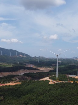 Nhiều dự án điện gió Quảng Trị bị 'điểm mặt' chưa bảo vệ môi trường tốt