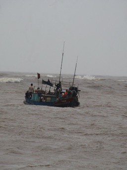 Quảng Trị: 2 vụ chìm thuyền trên biển, 3 ngư dân may mắn được cứu sống