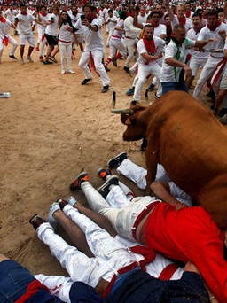 Nhiều người bị thương tại lễ hội đua bò tót Tây Ban Nha