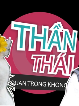 Thần thái có quan trọng không?