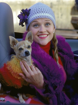 Reese Witherspoon 'âm mưu' thực hiện phần 3 'Legally Blonde'