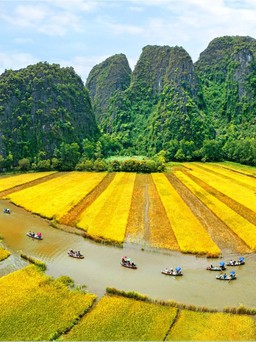 'Festival Tràng An kết nối di sản' sẽ có lễ hội đường phố