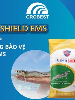 Super Shield EMS - Giải pháp chủ động bảo vệ trước EMS