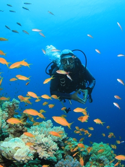 OCEANHOLIC Nha Trang siêu xịn với top hoạt động thú vị cho phái mạnh trong dịp hè