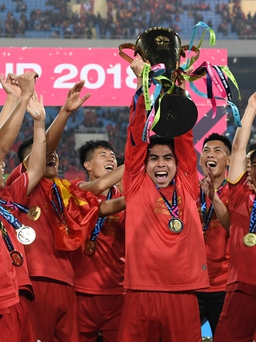 Cúp vàng AFF Cup 2018 và câu chuyện của VPMilk