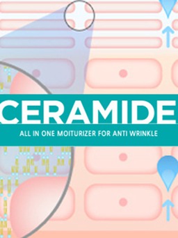 Tìm hiểu vai trò Ceramide trong dưỡng da