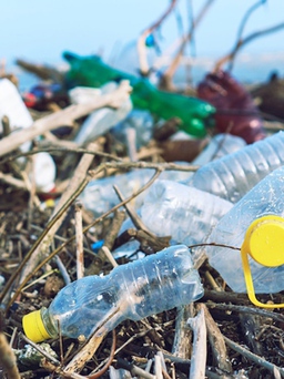 Khủng hoảng ô nhiễm nhựa dùng một lần: Đâu là hướng giải quyết?