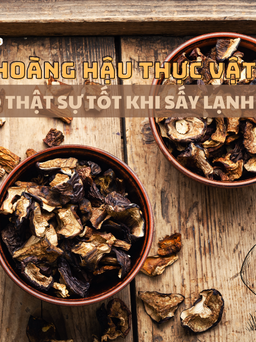 Nấm sấy lạnh của Công ty TNHH Bamboo Food VN có thật sự tốt cho sức khỏe?