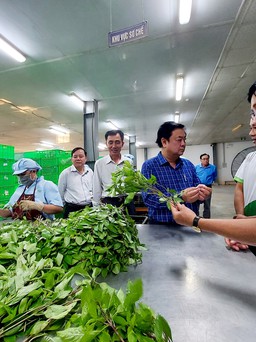 Bộ trưởng Bộ Nông nghiệp và Phát triển nông thôn thăm nông trường WinEco Củ Chi