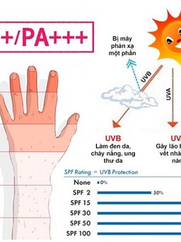 Top 10 kem chống nắng SPF50 bảo vệ da được giới chuyên gia khuyên dùng