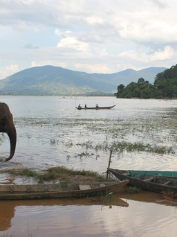 Hơn 200 tỉ đồng phát triển du lịch sinh thái, nghỉ dưỡng tại vùng hồ Lắk