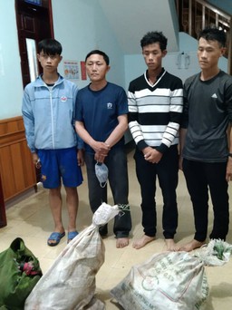 Đắk Lắk: Bắt giữ nhóm hạ sát sơn dương quý hiếm trong vườn quốc gia