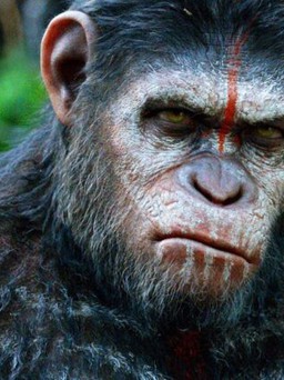 'Đại chiến hành tinh khỉ' có phần phim nối tiếp