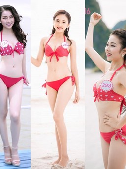 Dự đoán Top 5 Hoa hậu Việt Nam 2016