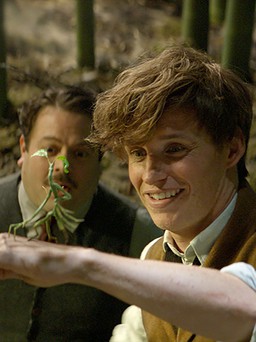 Fan Harry Potter phát sốt vì clip hậu trường 'Fantastic Beasts' nhiều bí ẩn
