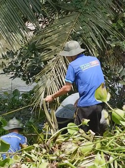 “Mở chiến dịch” trục vớt hơn 9 triệu m 2 lục bình