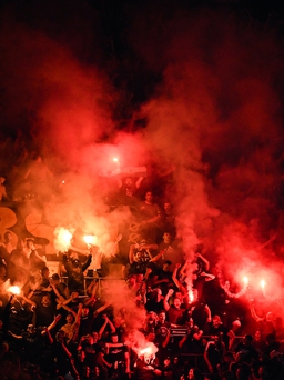 Champions League sốc vụ CĐV bị đâm ở trận Dinamo Zagreb và AC Milan