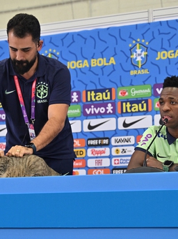 Buổi họp báo của tuyển Brazil trước tứ kết gặp Croatia có sự tham dự của… mèo