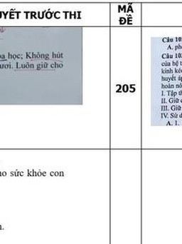 Khởi tố 2 cựu giáo viên ĐH Sư phạm Hà Nội liên quan lộ đề thi THPT 2021