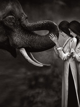 Như Vân, Trương Thị May sang Thái Lan chụp ảnh với voi