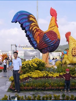 Gia đình linh vật gà ở Quy Nhơn thu hút du khách