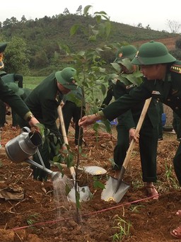 Bộ đội biên phòng trồng 120.000 cây xanh trong Tết trồng cây