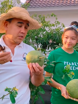 Quyền Linh đăng clip thu hoạch trái cây, nhan sắc con gái tiếp tục gây sốt