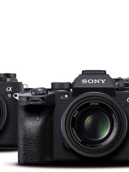 Sony thống trị thị trường máy ảnh mirroless Bắc Mỹ