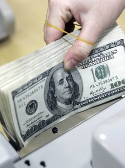 Giá USD hôm nay 14.1.2023: Đô la Mỹ tự do tăng trở lại