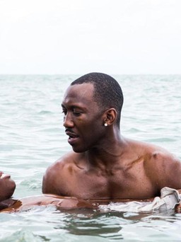 Phim đồng tính ‘Moonlight’ lên ngôi tại giải Tinh thần Độc lập