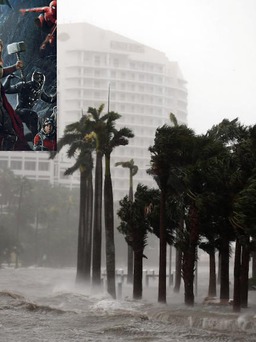 Nhiều dự án phim bị gián đoạn vì ảnh hưởng của cơn bão Irma