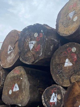 Xuất khẩu đồ gỗ tăng tốc cuối năm