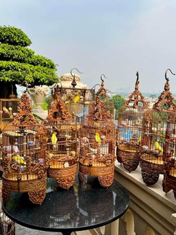 Tốn tiền tỉ cho thú chơi độc lạ