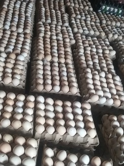 TP.HCM tăng giá trứng gia cầm từ ngày 15.6