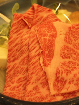Đến Gifu thưởng thức thịt bò Hida