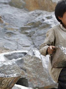 Hơn nửa triệu trẻ em Việt Nam phải làm việc trong điều kiện độc hại, nguy hiểm