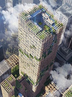 Công ty Nhật Bản muốn xây tòa nhà bằng gỗ cao nhất thế giới