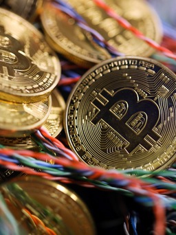 Bloomberg: Cơn sốt bitcoin ngày càng nhạt