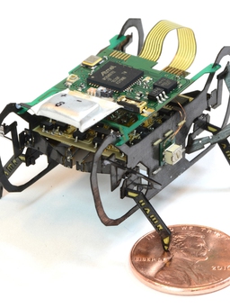 Đại học Harvard giới thiệu robot côn trùng tìm kiếm, cứu nạn