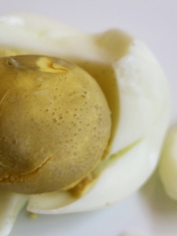 Mẹo vặt siêu dễ cho bạn: Sạch mụn cám siêu tốc bằng trứng gà
