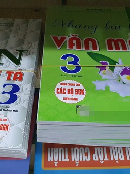 Giã từ văn mẫu được không?: ‘Cả lớp 30, 40 em đều nuôi chó, mèo trên giấy’