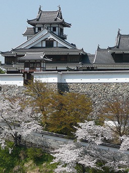 Trong 24 giờ, 12 học sinh Úc sẽ ‘cai trị’ tòa lâu đài cổ ở Kyoto