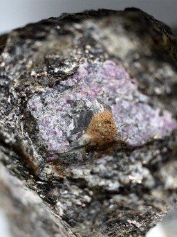 Dấu vết sự sống cổ đại bên trong viên hồng ngọc 2,5 tỉ tuổi