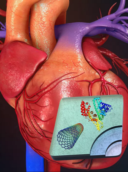 Công nghệ vắc xin Covid-19 có thể giúp trị đau tim