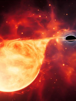 Phát hiện hố đen gần trái đất nhất