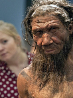 Không phải chiến tranh mà tình dục đã khiến người Neanderthal tuyệt chủng