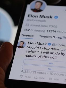 Tỉ phú Musk chờ người 'đủ ngu ngốc' chịu thay chức CEO Twitter